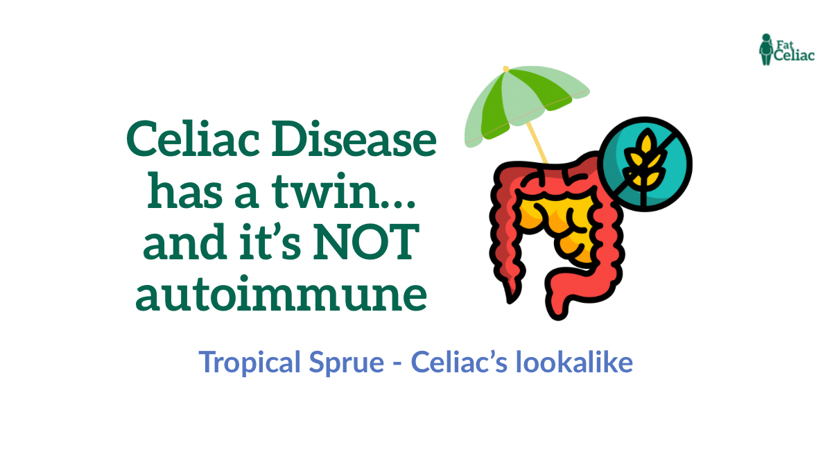 Graphic announcing 'Celiac Disease has a twin... and it’s NOT autoimmune' with a cartoon intestine under a green umbrella; subtitle reads 'Tropical Sprue - Celiac’s lookalike'