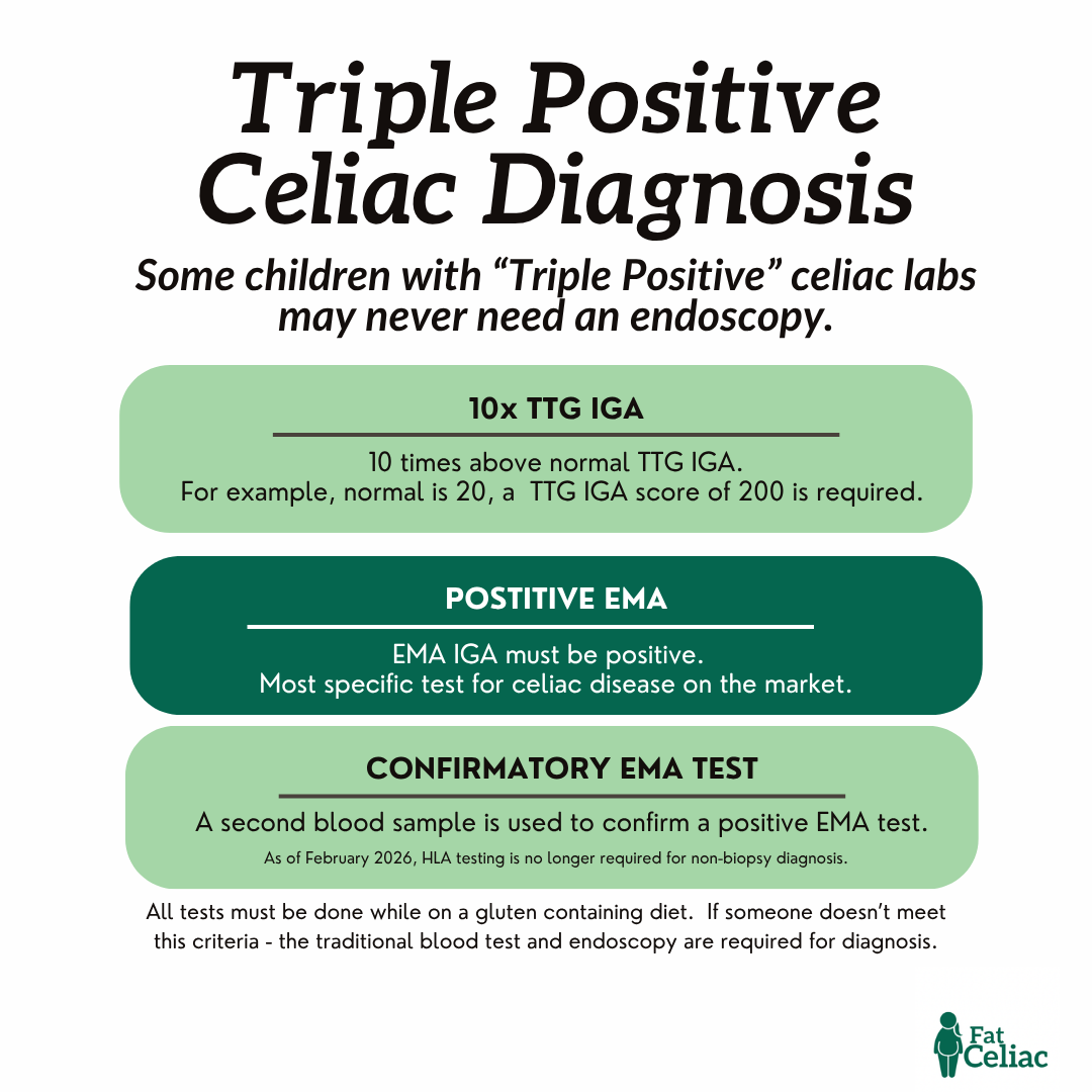 Infographic explaining a triple positive celiac diagnosis with three steps: 10x TTG IGA, Positive EMA, and Confirmatory EMA Test, plus Fat Celiac logo.