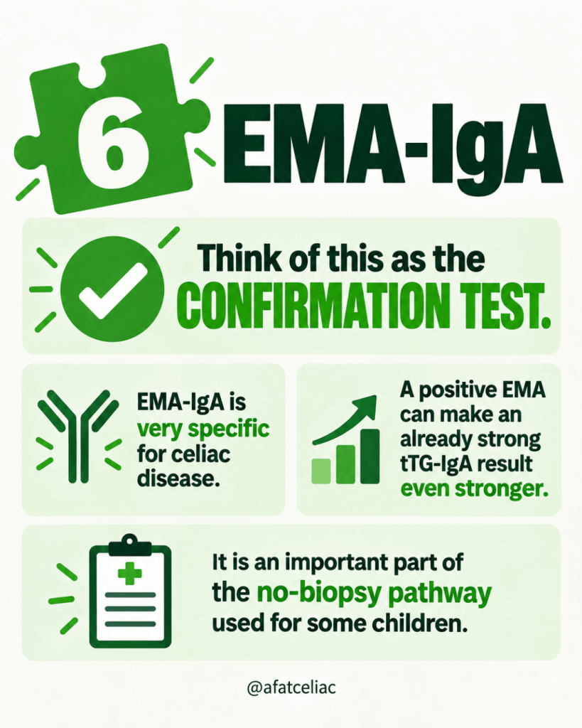 Infographic about EMA-IgA as a confirmation test for celiac disease with green icons and bold text.